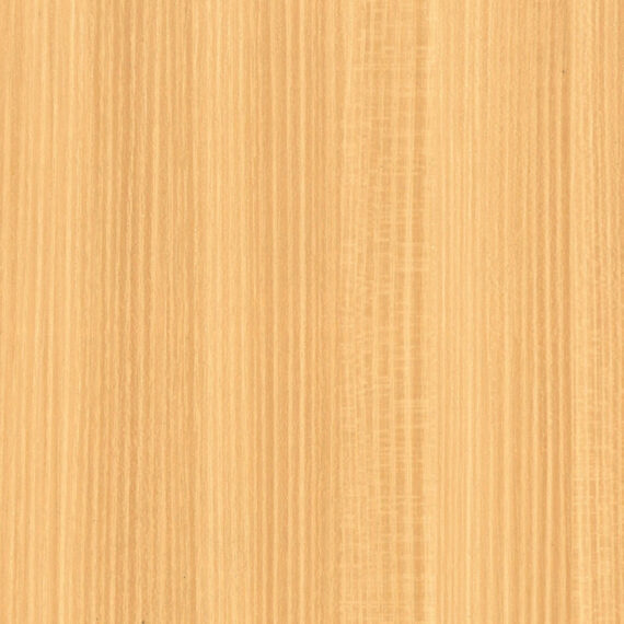 AF09 - Wood (O) 1,22x50m
